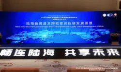 eTower (WallTech) was Invited to the First New Land-Sea Trade Corridor and Trans-Eurasian Supply Chain Development Summit