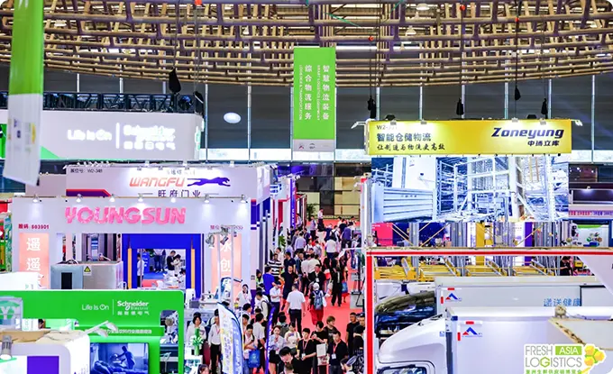 2024 Transport Logistics China: WallTech Attended Asia's Leading Trade Fair in Logistics Industry