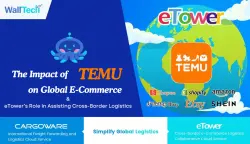 The Impact of TEMU on Global E-Commerce