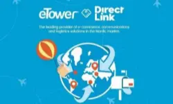 Customer Success Story: How eTower Helped Direct Link Establish an International Parcel Logistics Network from Scratch - Part 1